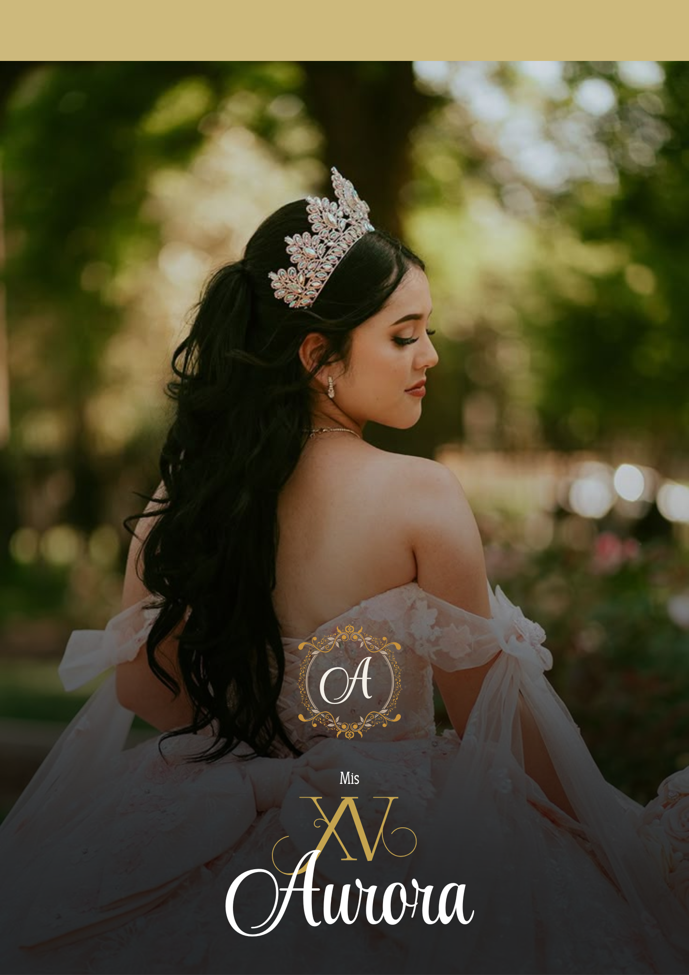 InvitaciónXV